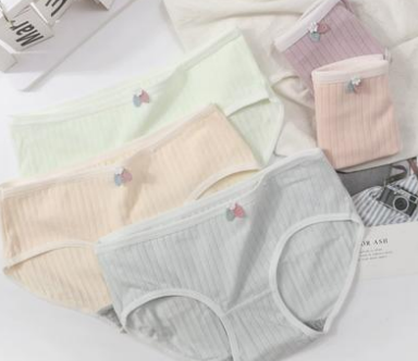 Women's Panty 2011